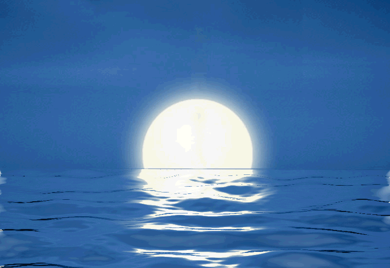 微信图片_20241028200111.gif