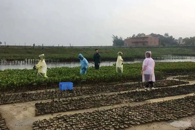 微信图片_20241231193929.jpg