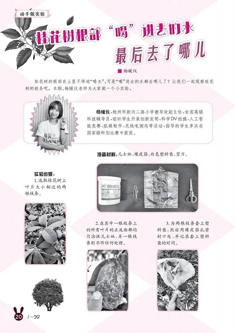 微信图片_20250322000114.jpg