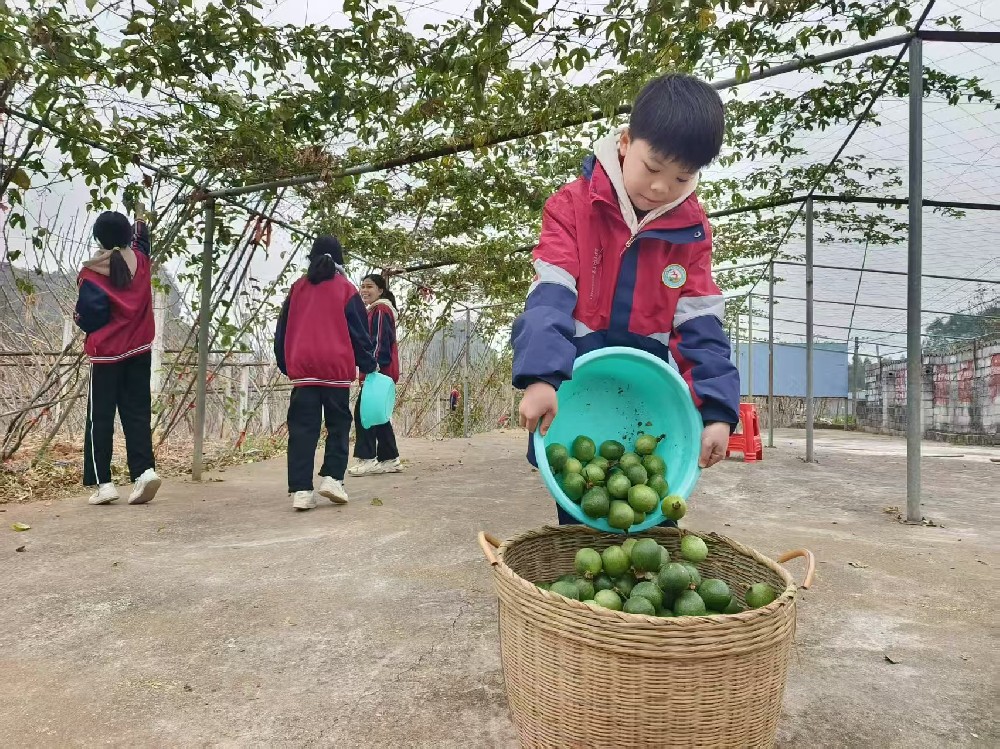 覃塘区劳动教育.jpg 覃塘区劳动教育.jpg