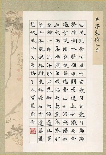 微信图片_2025-12-16_132827_991.jpg