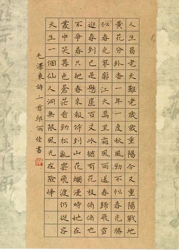 微信图片_2025-12-23_172530_146.jpg