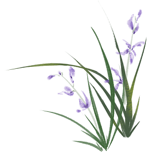 微信图片_2026-03-05_175458_918.png