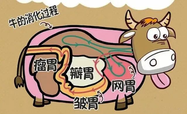 微信图片_2026-03-11_223514_242.jpg