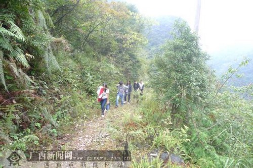 天峨县志愿者龙峨小学家访服务